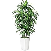 5FT Fake Plant Artificial Dracaena Tree Indoor - Faux Plants Indoor Tall with White Planter - Fake Tree Floor Plant Artificial Plants Decor for Living Room Office