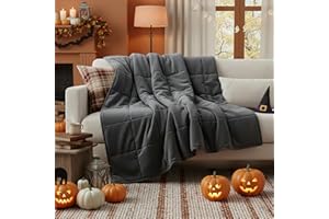 RJOP Weighted Blanket for Adults Queen Size (60x80, 20lbs), Soft Cotton with Premium Glass Beads for Bedding, Couch & Napping All Season (60''x80'' 20lbs | Grey)