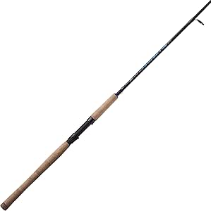quantum inshore rod