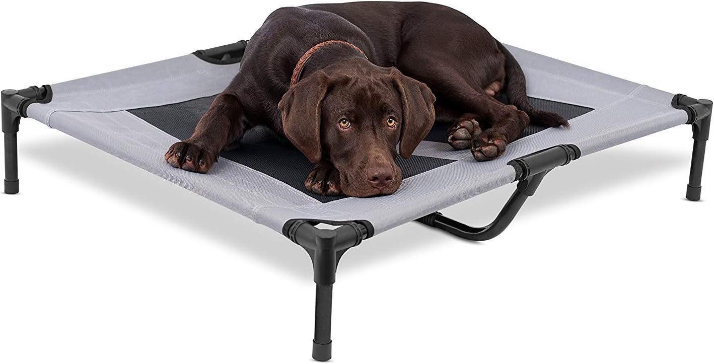 Best Dog Cot 36 x 30 Elevated Dog Bed