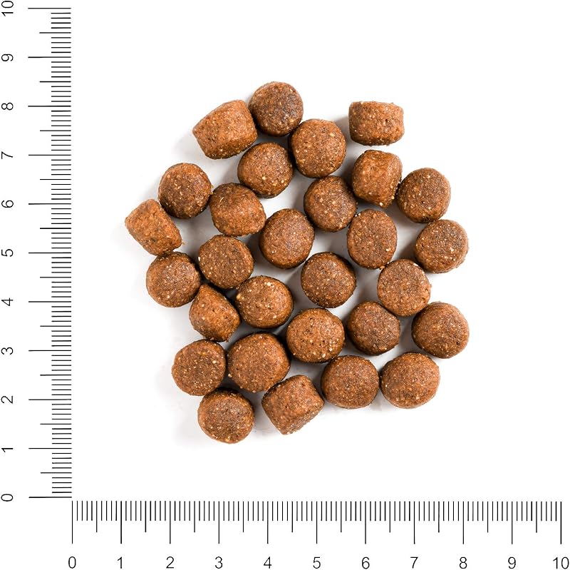 Comida seca para cães adultos de todas as raças, fórmula delicada com carne de vaca e arroz integral - 3 kg — foto 4 de 5