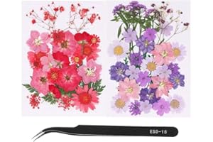 DIY Natural Flowers for Crafts,Mixed Natural DIY Flowers,Real Art Dried Flowers with Tweezers for Resin Art Making(61PCS,red 