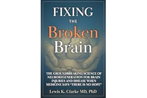 Fixing the Broken Brain