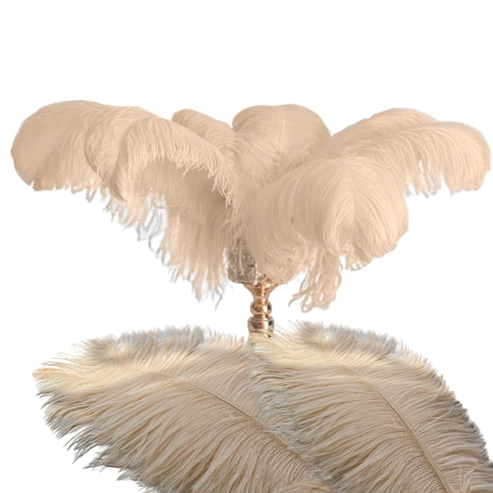 12 PCS Ostrich Feathers Gold Feathers Craft Feathers Ostrich Champagne Plume Feathers for Crafting Feather Decorations Champagne Decorated Ostrich Feathers for Wedding Halloween Christmas