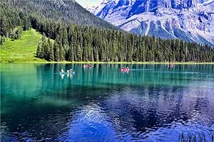 HCYEFG Rompecabezas Rompecabezas De 1000 Piezas Rompecabezas Gente