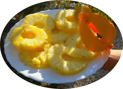 Compra Copa piña sin gâchis Slicer cuchillo y pelador en Amazon.es