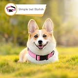 HEELE Reflective Dog Collar Soft Neoprene Padded Pink S 26-38cm view 2