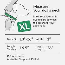 CollarDirect Reflective Dog Collar for a