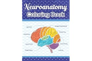 Neuroanatomy Coloring Book: The Ultimate Human Brain student's self-test Coloring book for Neuroscience. The Human Brain Anat