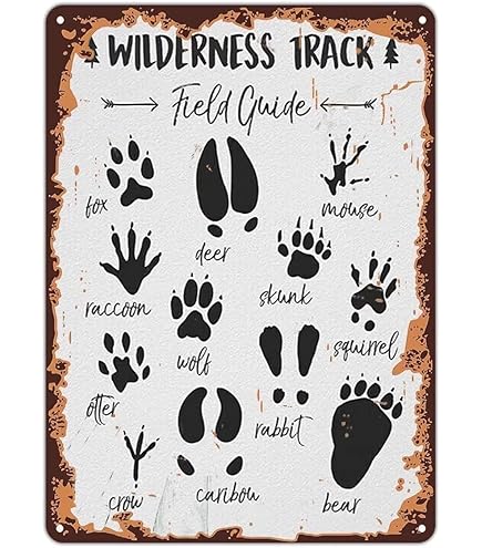 Poster Imprimible Animales, Cartel Animalitos 18x24 Inches, Cartel De