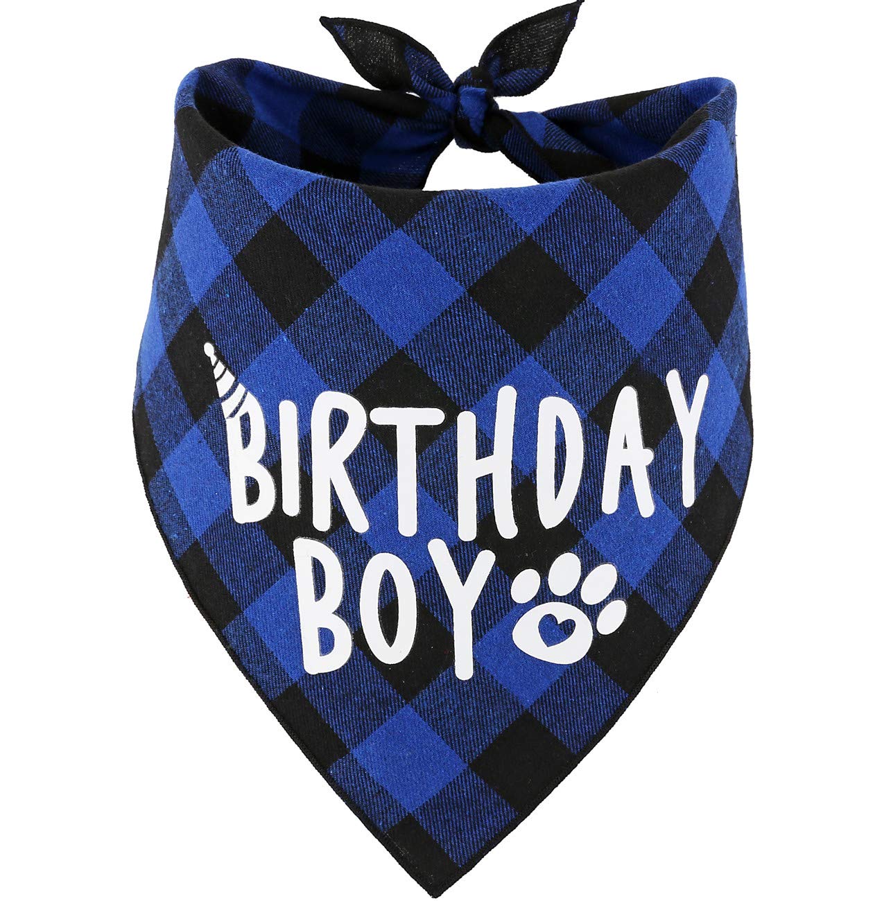 Dog Birthday Boy Bandana