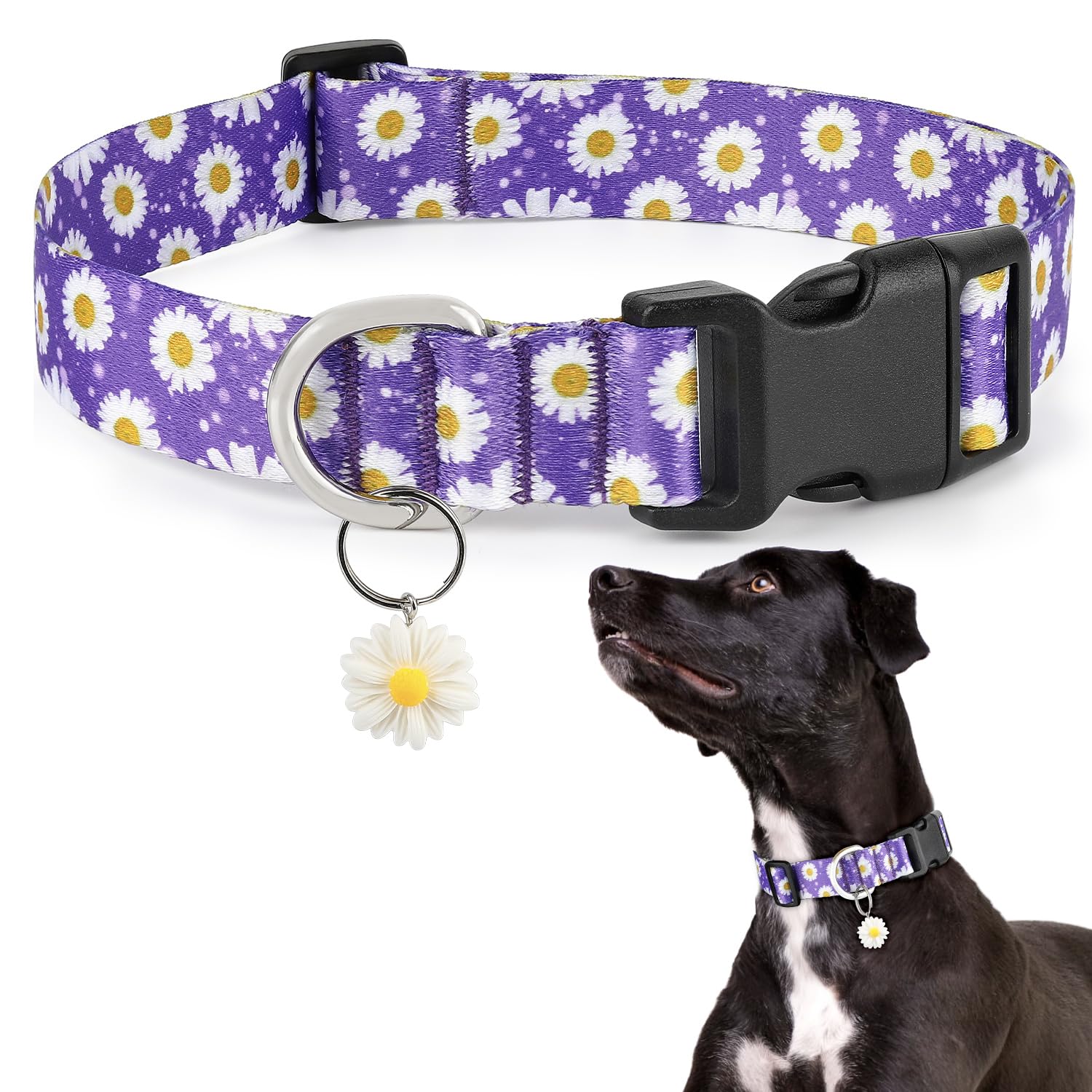 Ayaseen Small Dog Collar with Daisy Charm, Floral Girl Boy Purple Dog Collar Small Dogs, Soft Cute Flower Pet Collars for Male Females - Purple, XS
