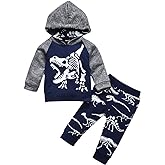 Baby Boys Dinosaur Long Sleeve Hoodie Tops Sweatsuit Pants Winter Outfit Set