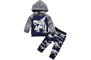 HINTINA Baby Boys Dinosaur Long Sleeve Hoodie Tops Sweatsuit Pants Winter Outfit Set