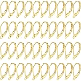 BEEFLYING 40pcs 304 Stainless Steel Leverback Earring Hoops Real 18K Gold Plated Earring Hooks for DIY Earring Jewelry Making