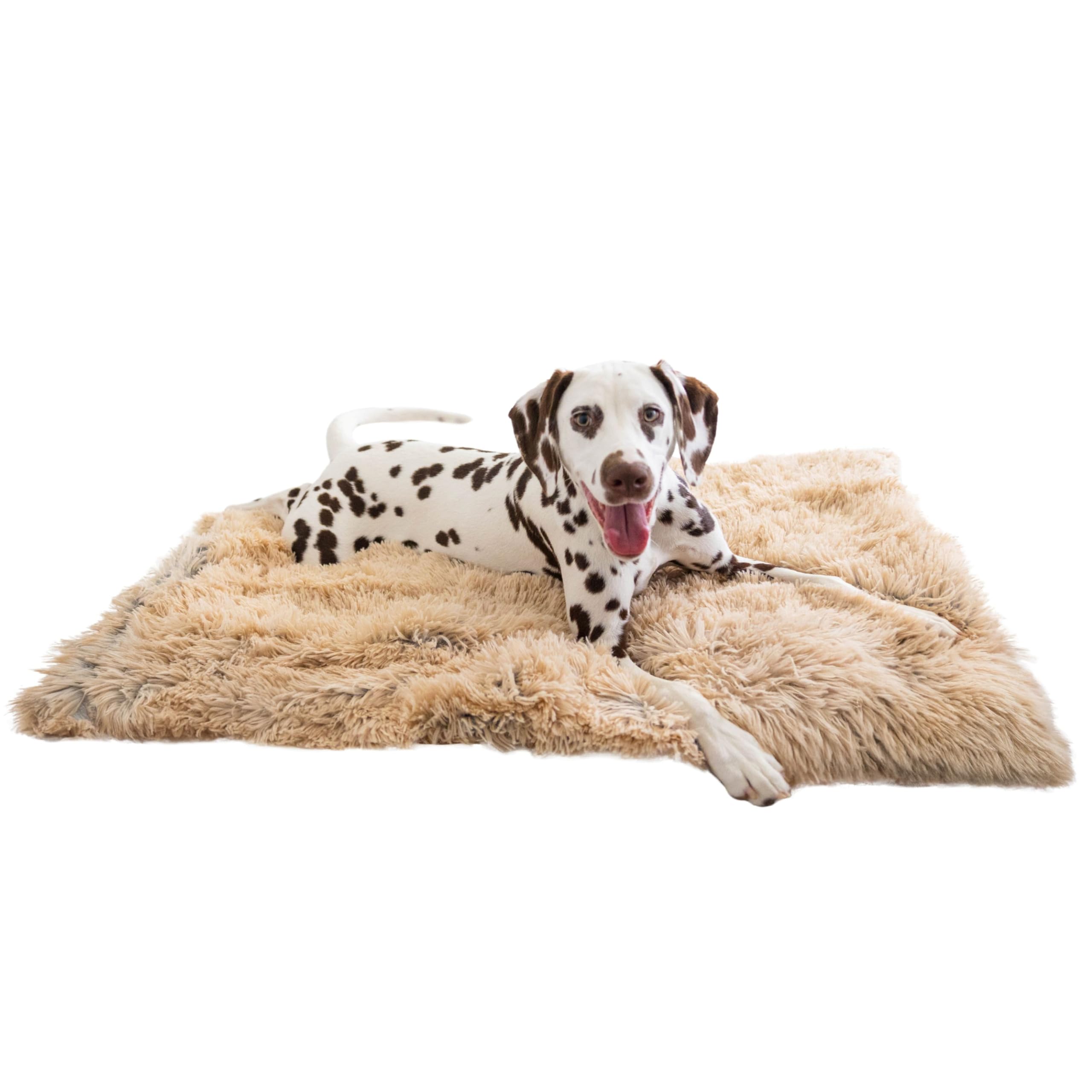 Photo 1 of Best Friends by Sheri Calming Shag Dog Blanket Small 