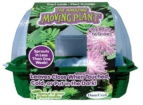 Educational Toys Science Kits Dunecraft 22875 The Moving