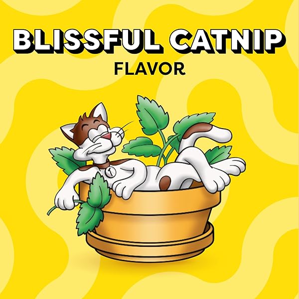 TEMPTATIONS CLASSIC CRUNCHY AND SOFT CAT TREATS BLISSFUL CATNIP FLAVOR, 16 OZ. TUB