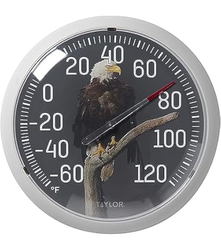 健康管理・計測計 Autumn letter Welch Allyn SureTemp Plus Thermometer - Save at — Tiger Medical