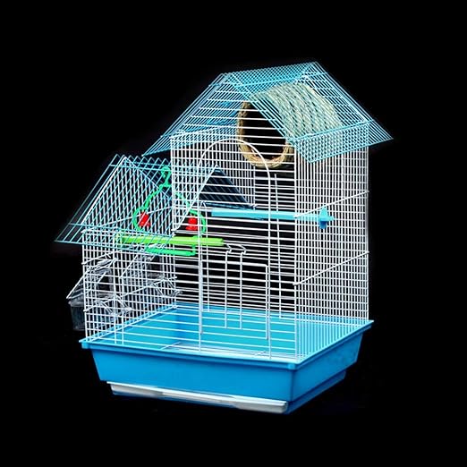 brachycephalic health issues