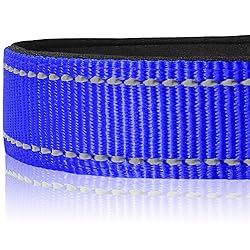 Joytale Reflective Dog Collar,Soft Neoprene Padded
