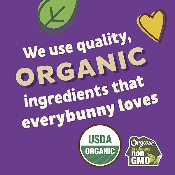 ANNIE’S ORGANIC HONEY GRAHAM CRACKERS, MADE WITH WHOLE GRAIN, 14.4 OZ