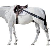 Equine Fitness Band for Hind End and Topline Development | Premium Band for Hind End and Topline Development, Build a Stronger, More Balanced Horse, Fully Adjustable Lunging Band