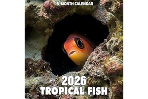 Tropical Fish 2026 Calendar: Reef dwellers in dazzling aquatic color