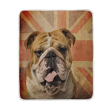 Amazon Com Alaza Home Decor Vintage British Flag English Bulldog