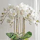 DUYONE Artificial Orchid Plant, 35 Inch 4 Pcs Phalaenopsis Flowers with Leaves, Real Touch Orchid Stems for Home Decoration