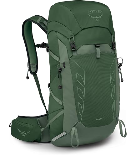 Osprey Talon 44L Men's Lightweight Hiking Backpack, Green S-M