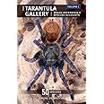 The Tarantula Gallery: Image Reference & Species Accounts