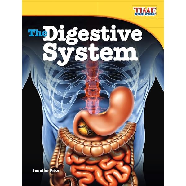 洋書 The Gastrointestinal System 洋書 The Gastrointestinal System The Gastrointestinal System