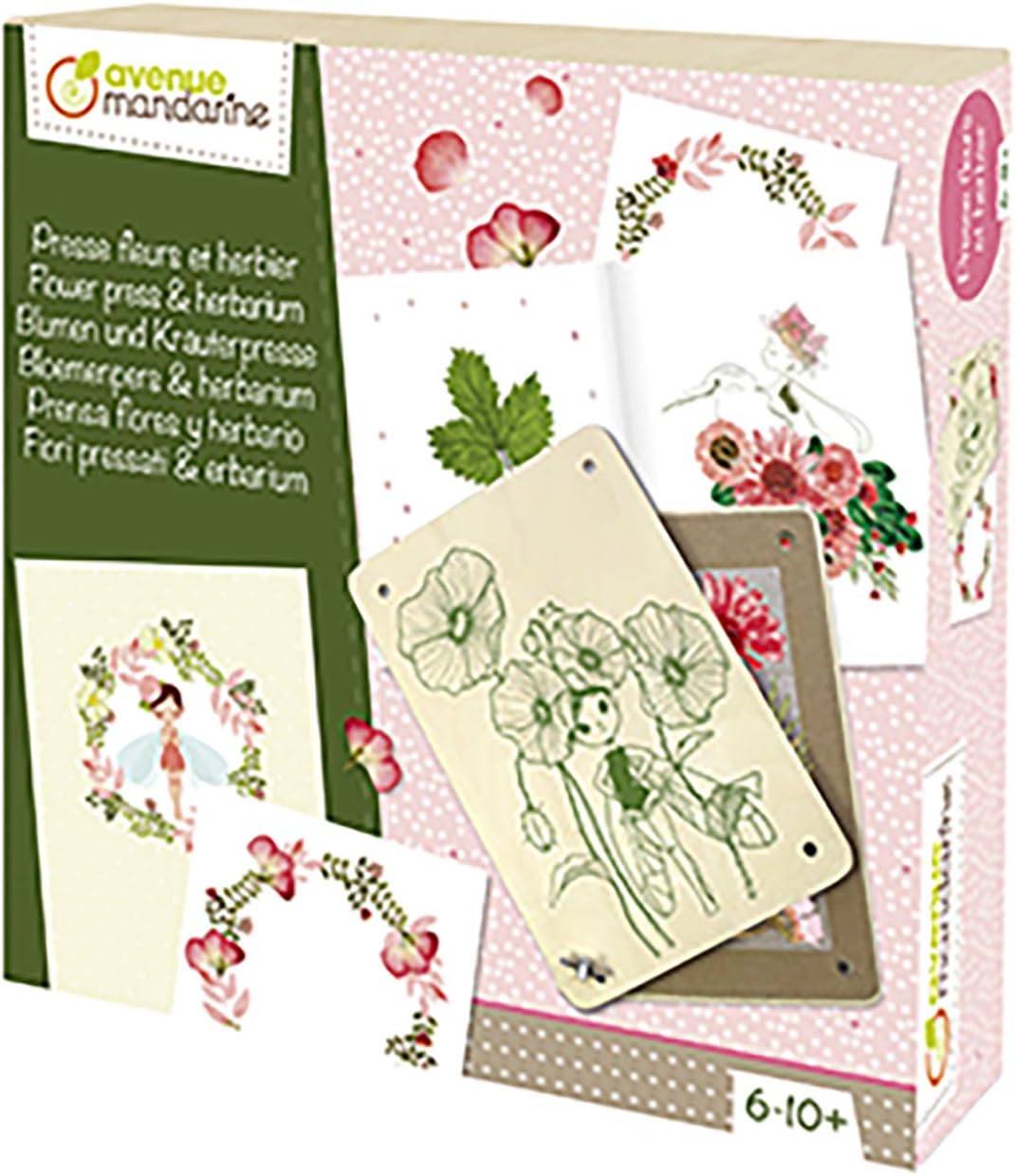 Avenue Mandarine, Ref CO175C, Creative Box, Flower Press and Herbarium, Collect & Keep Beautiful Floral Compositions