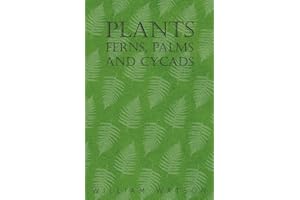 Plants - Ferns, Palms and Cycads