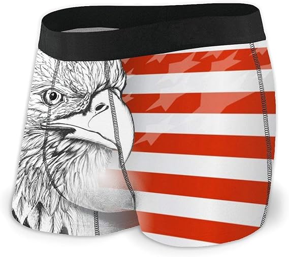 Bald Eagle American Flag Custom Men's AllOver Print Boxer