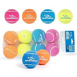 Best Pet Supplies Squeaky Tennis Balls for