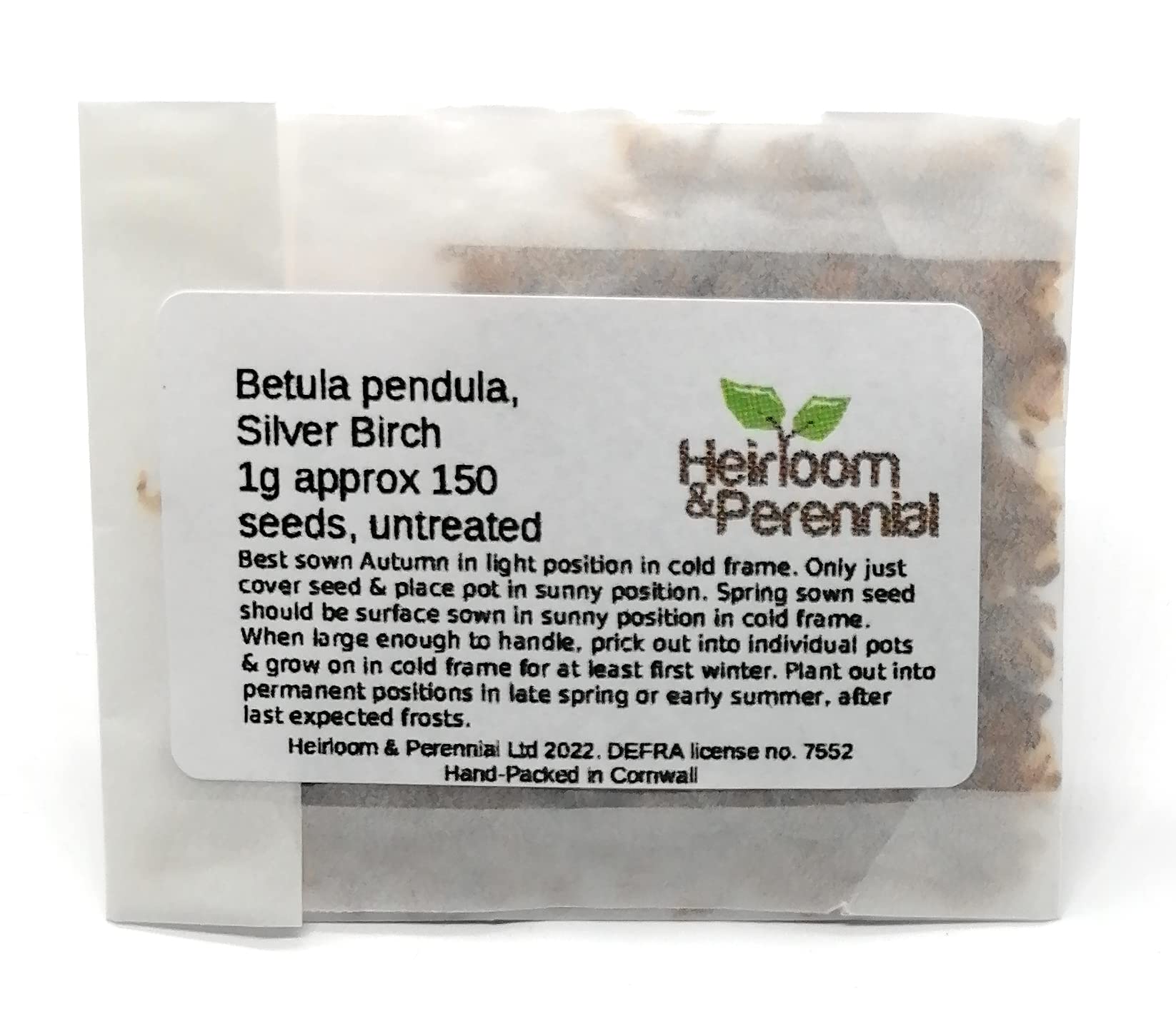 Betula pendula, Silver Birch, 1g Approx 150 Seeds