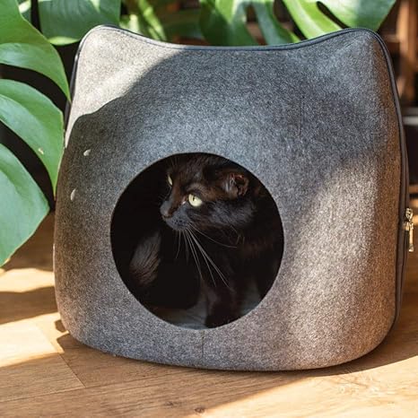 Galapara Lit De Chat Confortable Pour Animaux De Compagnie Quatre Saisons De Sable Universel Pour Chat Et Chat Amazon Fr Cuisine Maison