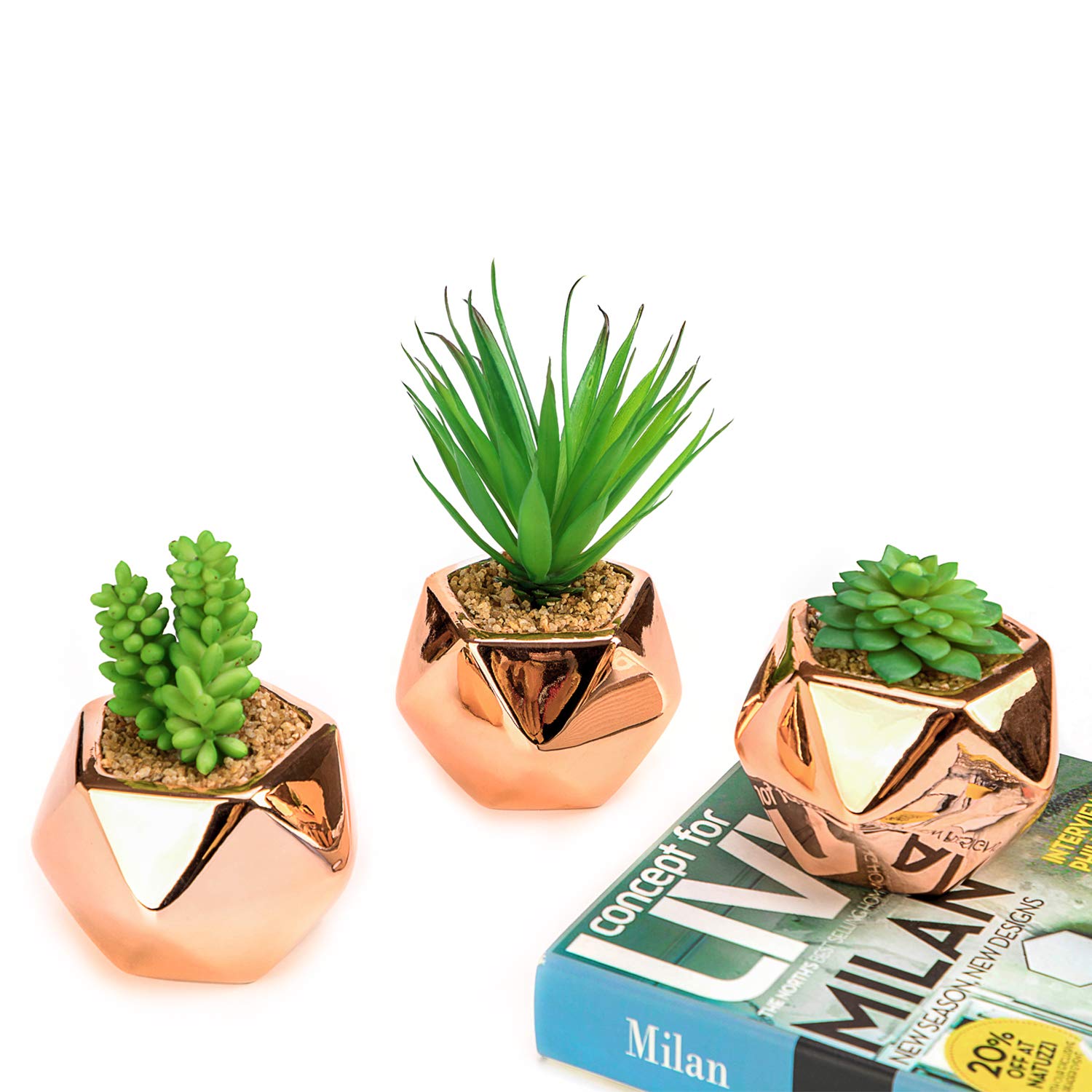 Best Home Decor Gold Plant