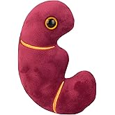 Giantmicrobes Kidney Plush, Kidney Stuffed Animal, Kidney Transplant Gifts, Kidney Donor Gifts, Kidney Pillow, Urology Gifts, Nephrology Gifts, Dialysis Nurse Gifts, Gifts For Urologist, Kidney Toy