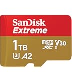 任天堂 - SanDisk microSD Express Card 256GB Amazon.com: SanDisk 256GB microSD Express Card - Works with
