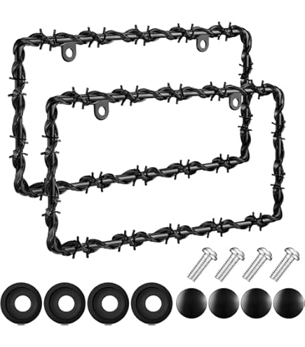 Amazon.com: GG Grand General 60468 Chrome and Black Spider Web