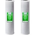 iSpring FC25BX2 High Capacity 20” x 4.5” Water Filter Replacement Cartridges - CTO Carbon Block - Fits Standard 20” x 4.5” Whole House Water Filter Systems - Reducing up to 99% Chlorine - Pack of 2