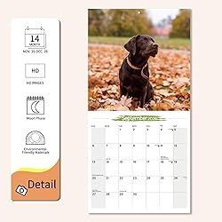 2026 Wall Calendar Labrador Retriever Planner