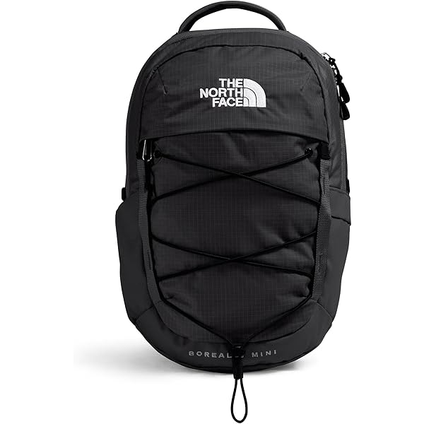 Amazon.com: The North Face Lichen Daypack - Everyday Commuter