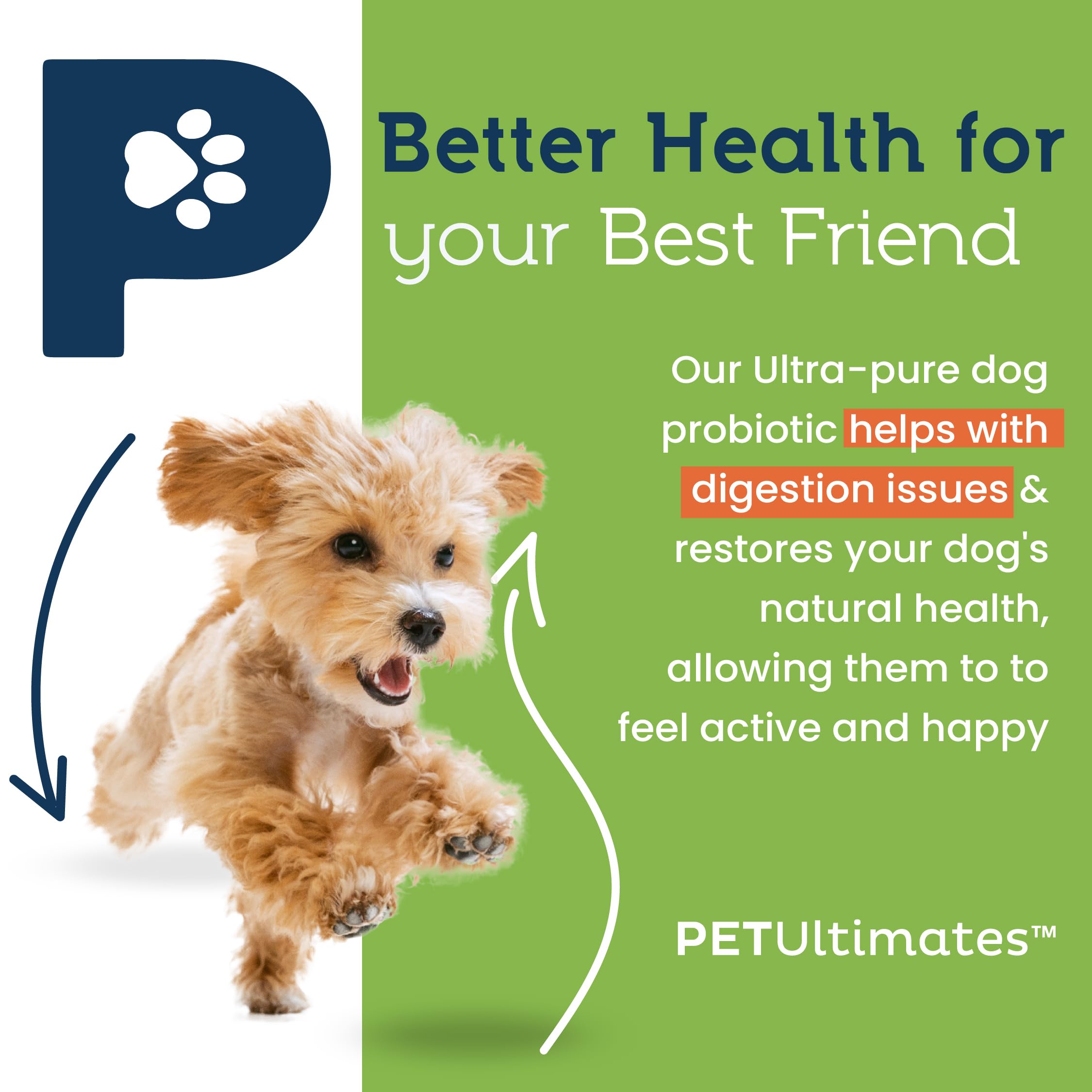 Pet Ultimates Probiotics For Dogs 22Species Dog Probiotics For Dog