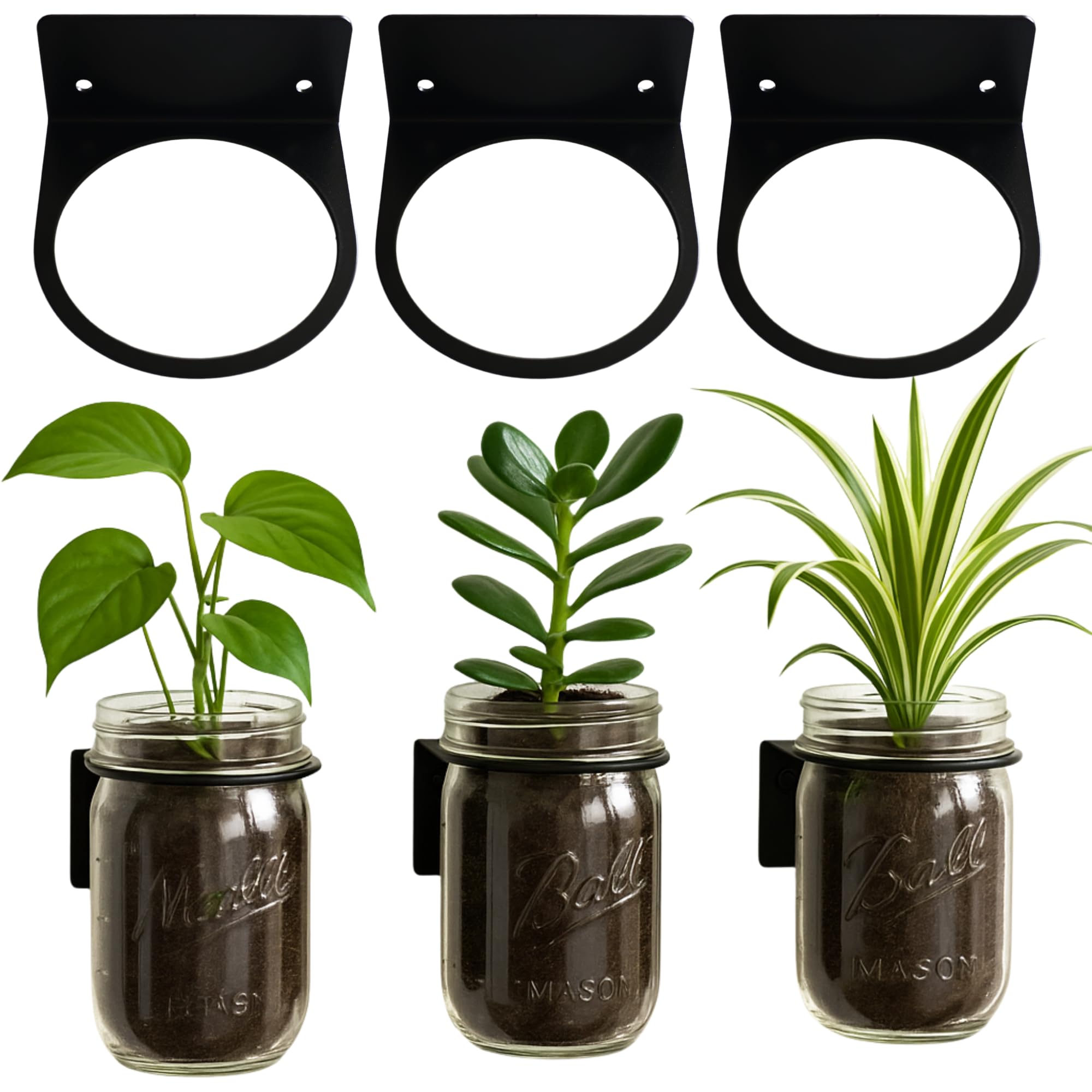 Photo 1 of Mason Jar Wall Mount 3 Pack | Mason Jar Organizer Wall Decor | Holds 16oz Wide Mouth Size | Use for Plant Display, Tool Storage, Toothbrush Holder, Storage Display, Desk Accessories | 3 Pack