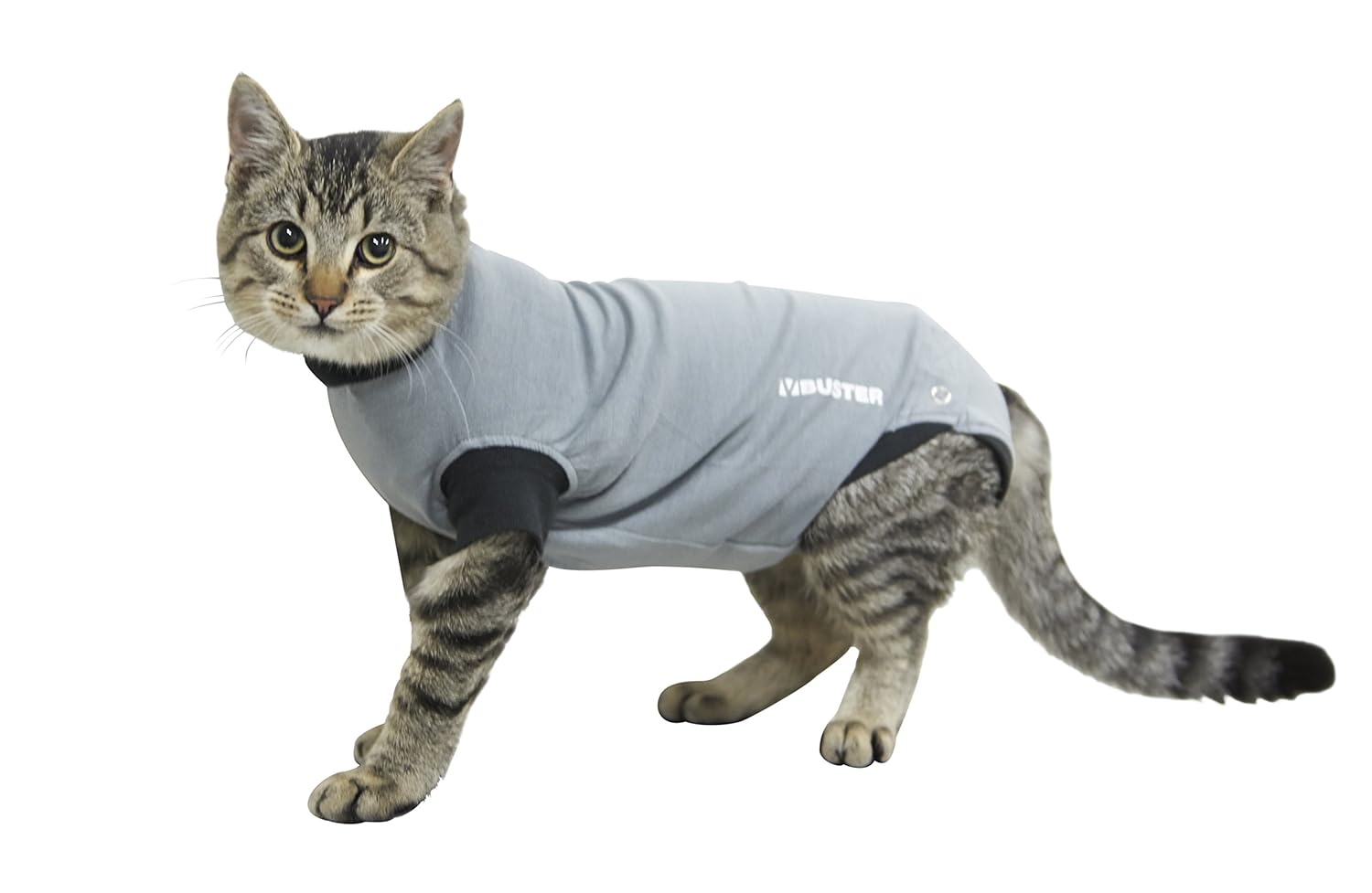 Buster Body Suit Easygo for Cats, 3XSmall, 27.5cm Amazon.co.uk Pet Supplies