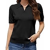 Neineiwu Womens Short Sleeve Sweater Casual Knit Lightweight Spring Top V Neck Soft Business Pullover Shirt